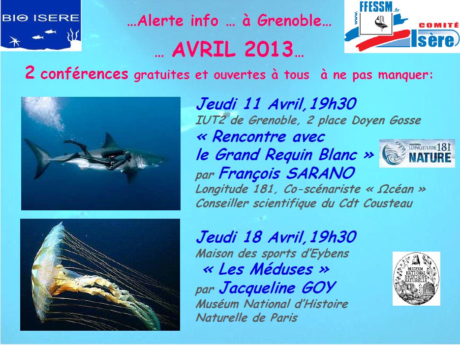 rencontre avec le grand requin blanc