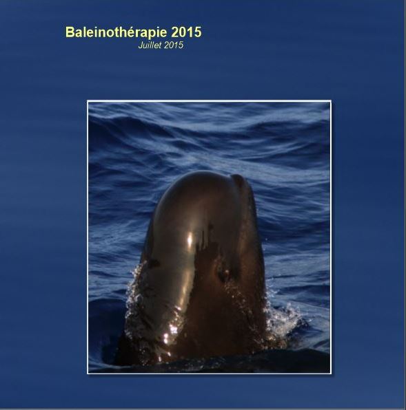 Bilan des observations - Baleino 2013