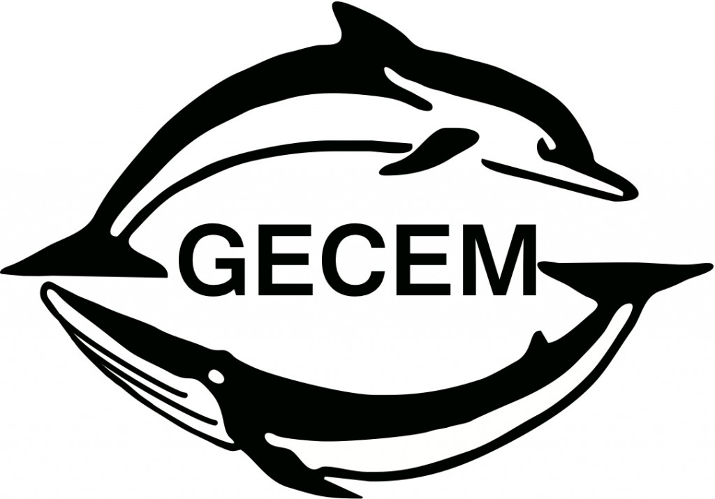 GECEM_Logo nouveau