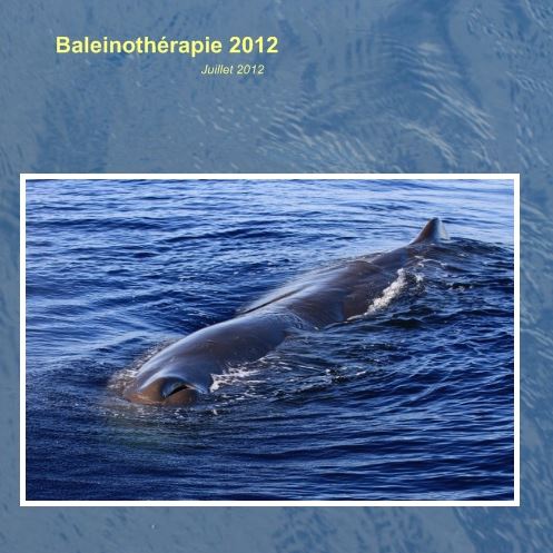 Bilan des observations - Baleino 2012-1