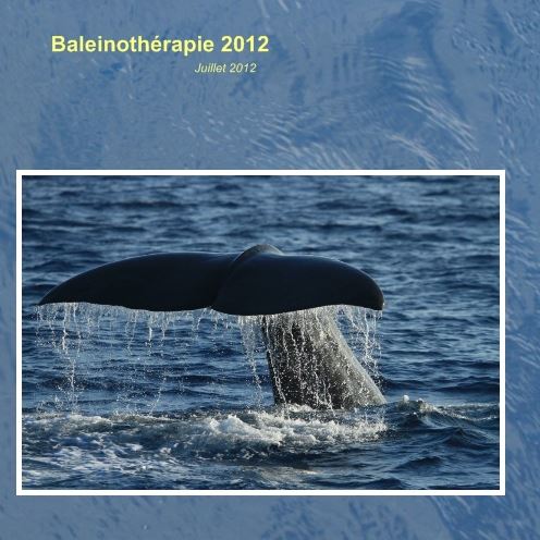 Bilan des observations - Baleino 2012-2