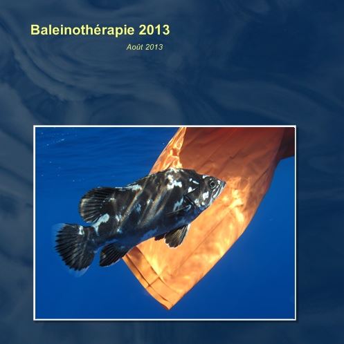 Bilan des observations - Baleino 2013