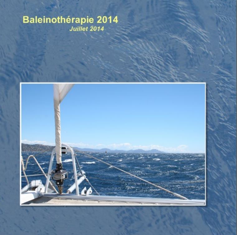 Bilan des observations - Baleino 2014