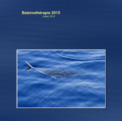 Bilan des observations - Baleino 2013