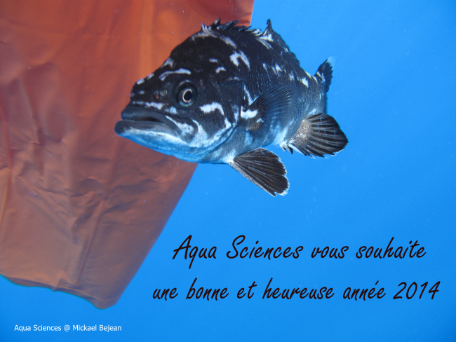 Voeux 2014 - Aqua Sciences